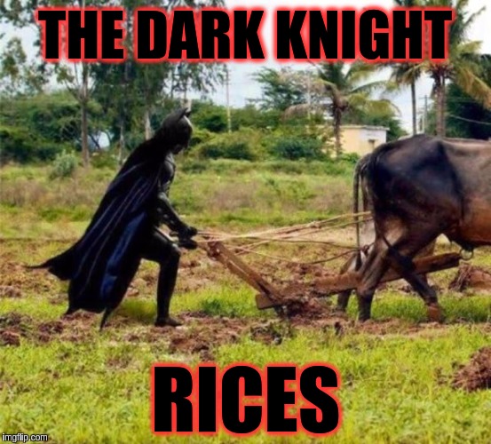 Movie Week Oct 22 - 29 ( A SpursFanFromAround and haramisbae Event) | THE DARK KNIGHT; RICES | image tagged in memes,funny,movie week,batman,dark knight rises,ploughing | made w/ Imgflip meme maker