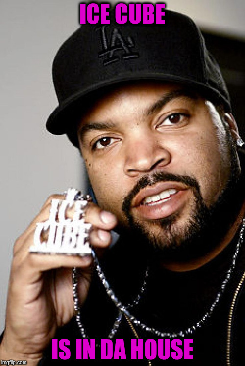 ICE CUBE IS IN DA HOUSE | made w/ Imgflip meme maker