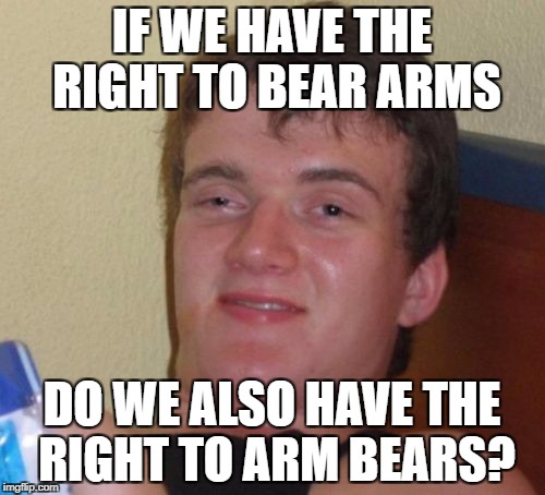 10 Guy Meme | IF WE HAVE THE RIGHT TO BEAR ARMS DO WE ALSO HAVE THE RIGHT TO ARM BEARS? | image tagged in memes,10 guy | made w/ Imgflip meme maker