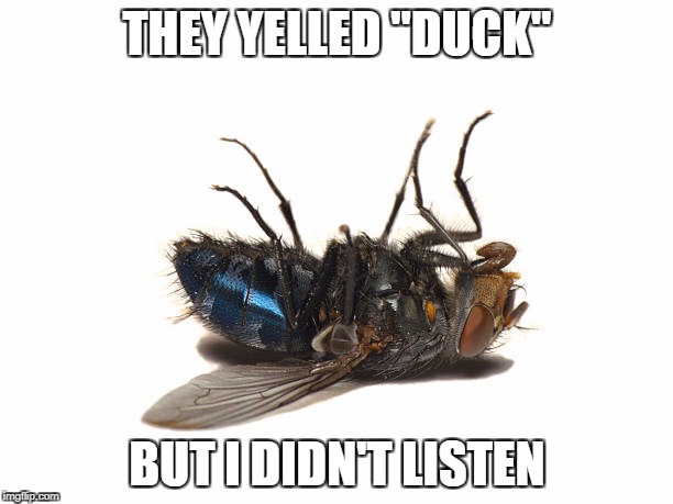 THEY YELLED "DUCK" BUT I DIDN'T LISTEN | made w/ Imgflip meme maker