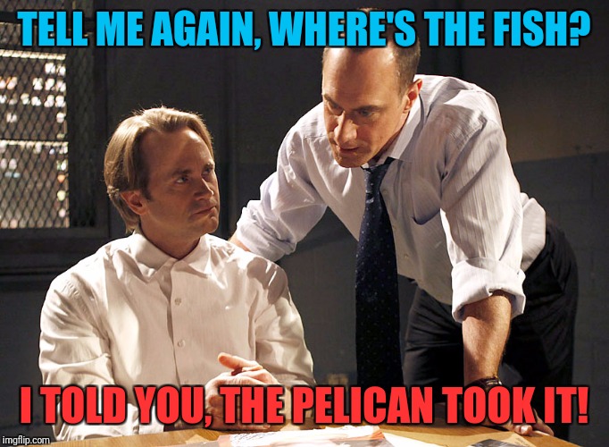 law & order | TELL ME AGAIN, WHERE'S THE FISH? I TOLD YOU, THE PELICAN TOOK IT! | image tagged in law  order | made w/ Imgflip meme maker