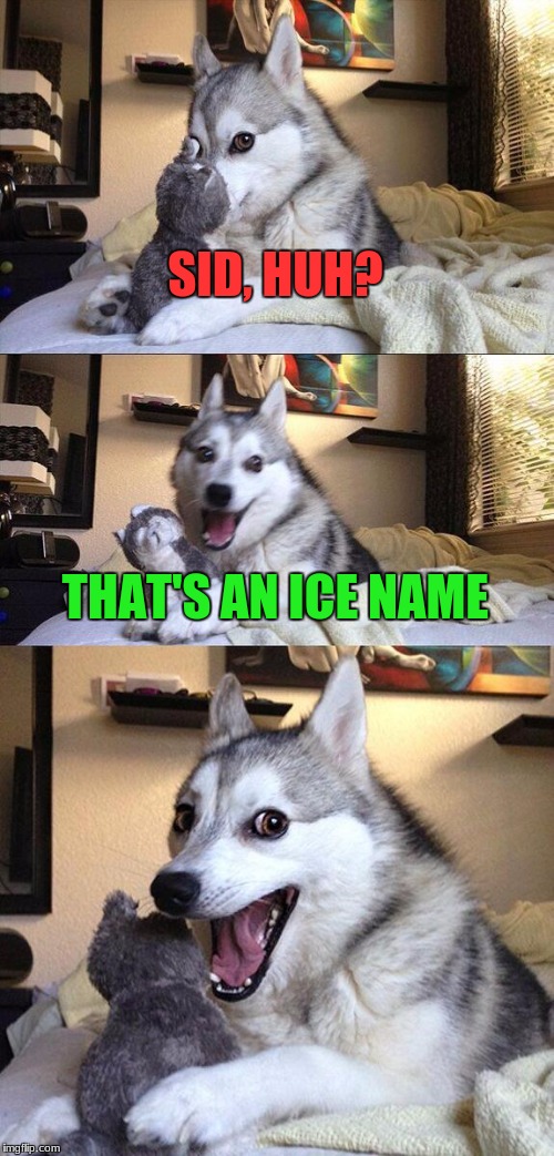 Ice Age Week, A Jesus_Milk event October 23rd-30th | SID, HUH? THAT'S AN ICE NAME | image tagged in memes,bad pun dog,funny,ice age week | made w/ Imgflip meme maker