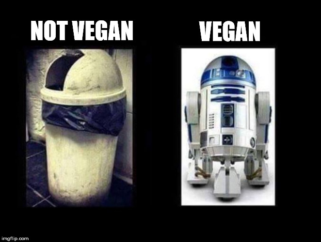 True story | VEGAN NOT VEGAN | image tagged in before and after,vegan4life,funny memes,memes | made w/ Imgflip meme maker