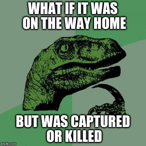 Philosoraptor Meme | WHAT IF IT WAS ON THE WAY HOME BUT WAS CAPTURED OR KILLED | image tagged in memes,philosoraptor | made w/ Imgflip meme maker