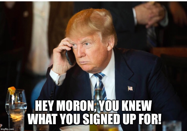 Trump The Moron  | HEY MORON, YOU KNEW WHAT YOU SIGNED UP FOR! | image tagged in donald trump,moron | made w/ Imgflip meme maker