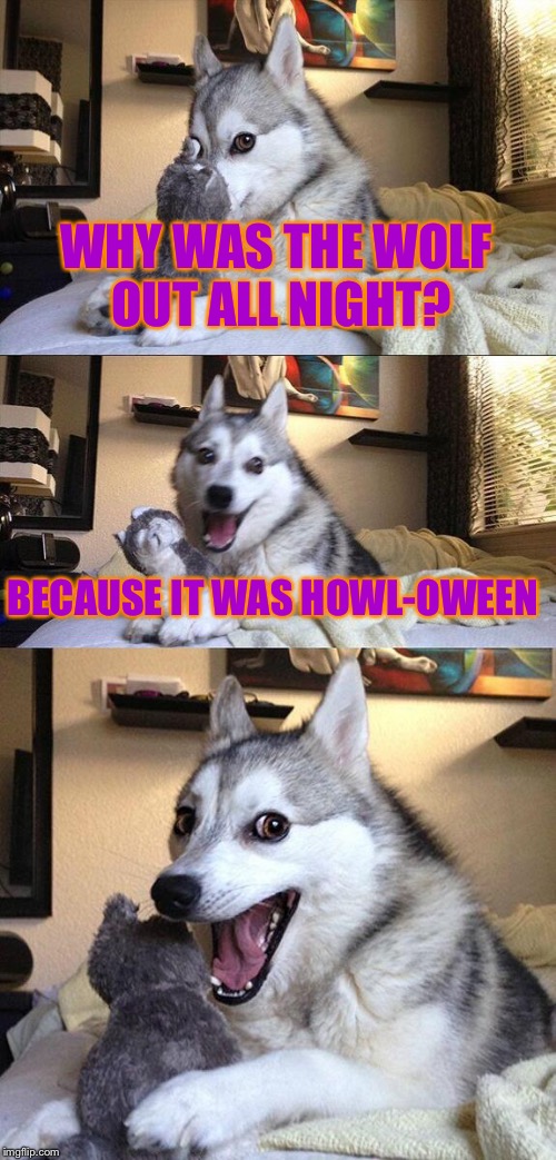 Howl, get it? | WHY WAS THE WOLF OUT ALL NIGHT? BECAUSE IT WAS HOWL-OWEEN | image tagged in memes,bad pun dog,did ghost just do a pun meme,end it now,sorry itll never happen again,howl he said what a moron | made w/ Imgflip meme maker
