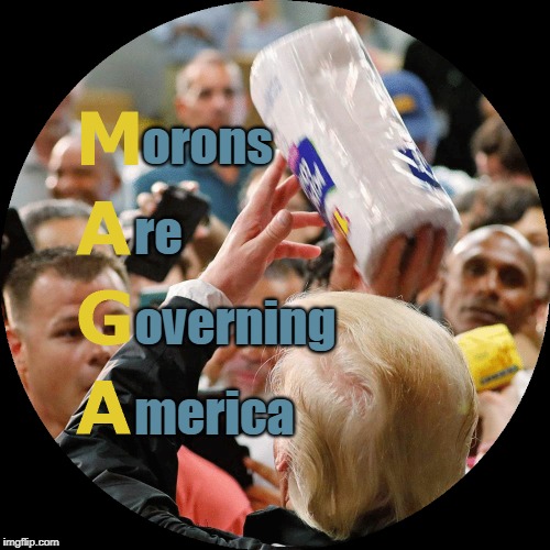 Morons... | orons; re; overning; merica | image tagged in maga | made w/ Imgflip meme maker