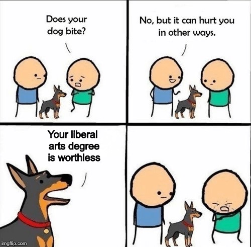 STEM degrees or nothing | Your liberal arts degree is worthless | image tagged in does your dog bite,science,technology,engineering,math,memes | made w/ Imgflip meme maker
