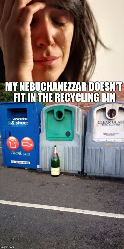 First World Problems.  When the champagne is gone and the party is over. | MY NEBUCHANEZZAR DOESN'T FIT IN THE RECYCLING BIN | image tagged in nebuchanezzar,champagne,first world problems,monday mornings | made w/ Imgflip meme maker