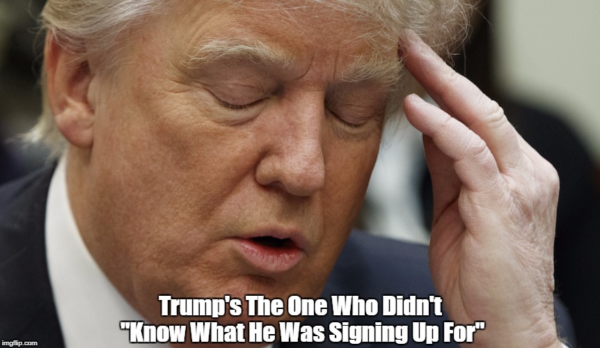 Trump's The One Who Didn't "Know What He Was Signing Up For" | made w/ Imgflip meme maker