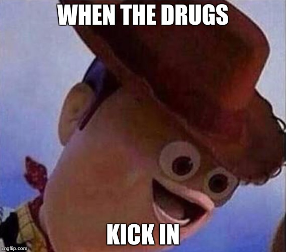 Derp Woody | WHEN THE DRUGS; KICK IN | image tagged in derp woody | made w/ Imgflip meme maker