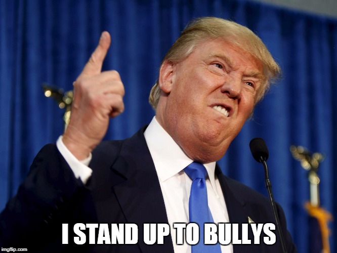 I STAND UP TO BULLYS | image tagged in i stand up to bullys | made w/ Imgflip meme maker