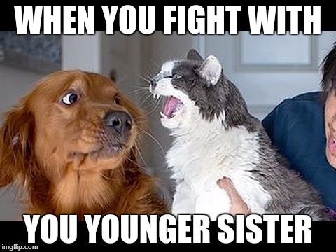 younger sister fight | WHEN YOU FIGHT WITH; YOU YOUNGER SISTER | image tagged in scared dog | made w/ Imgflip meme maker