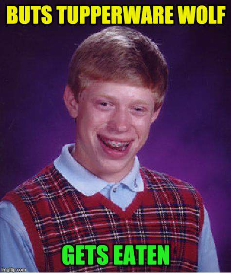 Bad Luck Brian Meme | BUTS TUPPERWARE WOLF GETS EATEN | image tagged in memes,bad luck brian | made w/ Imgflip meme maker