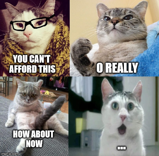 How she be | O REALLY; YOU CAN'T AFFORD THIS; HOW ABOUT NOW; ... | image tagged in memes,cats,animals | made w/ Imgflip meme maker
