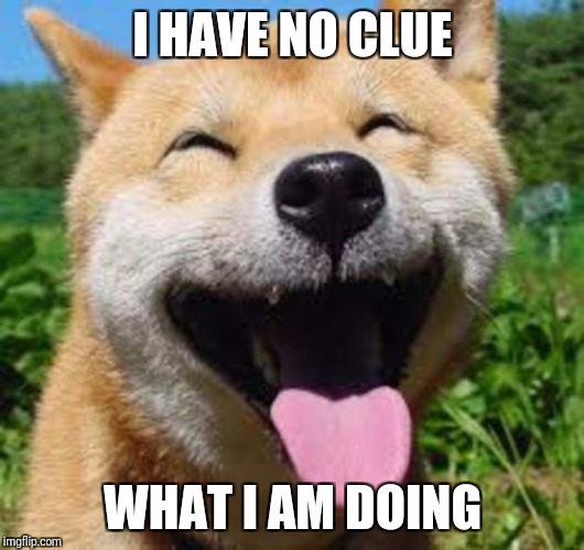 I HAVE NO CLUE; WHAT I AM DOING | image tagged in happy dog | made w/ Imgflip meme maker