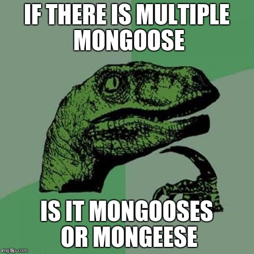 Philosoraptor Meme | IF THERE IS MULTIPLE MONGOOSE; IS IT MONGOOSES OR MONGEESE | image tagged in memes,philosoraptor,question,what,meme,dank memes | made w/ Imgflip meme maker
