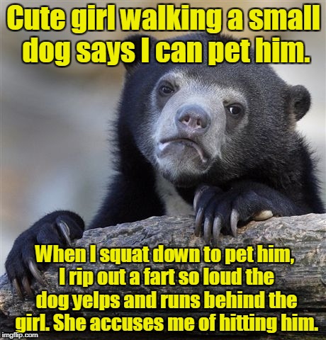 Confession Bear Meme | Cute girl walking a small dog says I can pet him. When I squat down to pet him, I rip out a fart so loud the dog yelps and runs behind the girl. She accuses me of hitting him. | image tagged in memes,confession bear | made w/ Imgflip meme maker