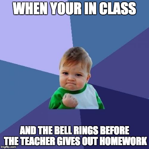 Success Kid Meme | WHEN YOUR IN CLASS; AND THE BELL RINGS BEFORE THE TEACHER GIVES OUT HOMEWORK | image tagged in memes,success kid | made w/ Imgflip meme maker