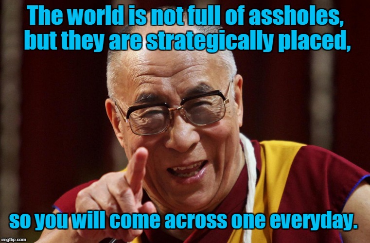 Dali Lama | The world is not full of assholes, but they are strategically placed, so you will come across one everyday. | image tagged in dali lama | made w/ Imgflip meme maker