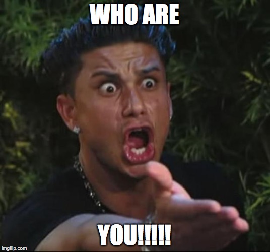 DJ Pauly D | WHO ARE; YOU!!!!! | image tagged in memes,dj pauly d | made w/ Imgflip meme maker