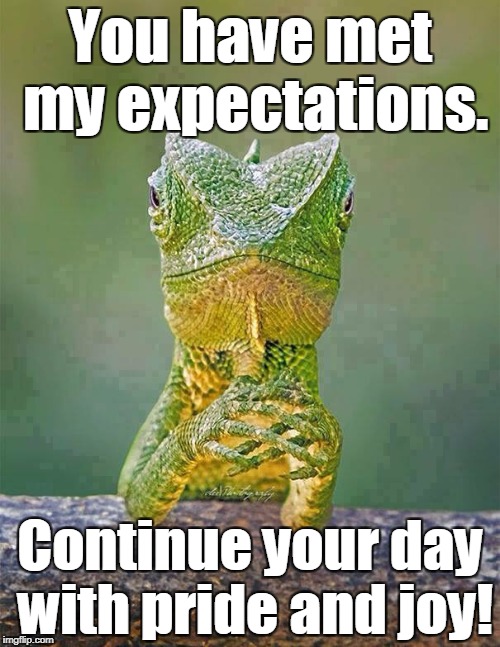 Sarcastic Lizard | You have met my expectations. Continue your day with pride and joy! | image tagged in sarcastic lizard | made w/ Imgflip meme maker
