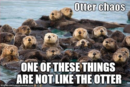 Mondays at work  | ONE OF THESE THINGS ARE NOT LIKE THE OTTER | image tagged in mondays at work | made w/ Imgflip meme maker