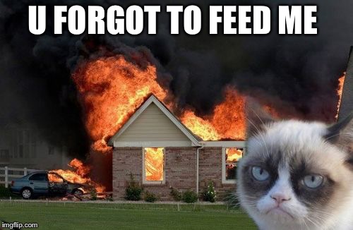 Burn Kitty Meme | U FORGOT TO FEED ME | image tagged in memes,burn kitty,grumpy cat | made w/ Imgflip meme maker