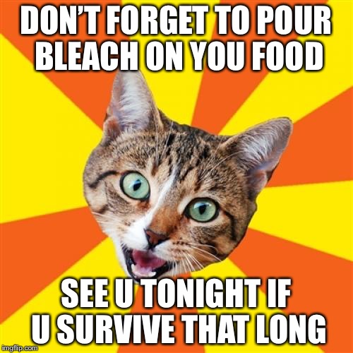 Bad Advice Cat Meme | DON’T FORGET TO POUR BLEACH ON YOU FOOD; SEE U TONIGHT IF U SURVIVE THAT LONG | image tagged in memes,bad advice cat | made w/ Imgflip meme maker