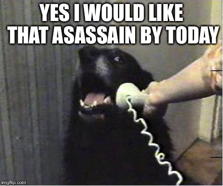 Yes this is dog | YES I WOULD LIKE THAT ASASSAIN BY TODAY | image tagged in yes this is dog | made w/ Imgflip meme maker