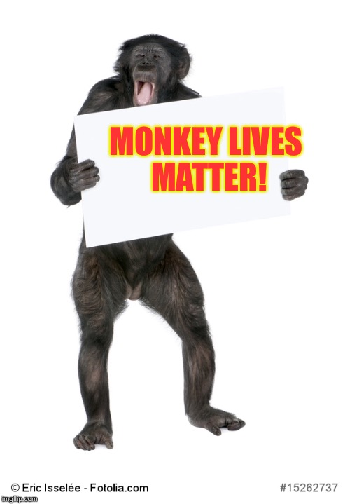 MONKEY LIVES MATTER! | made w/ Imgflip meme maker