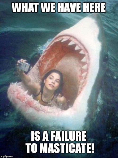 Jaws V: Selfie swimmers | . | image tagged in memes,jaws,masticate,selfie | made w/ Imgflip meme maker