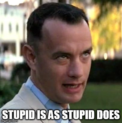 Gump #2 | STUPID IS AS STUPID DOES | image tagged in gump 2 | made w/ Imgflip meme maker