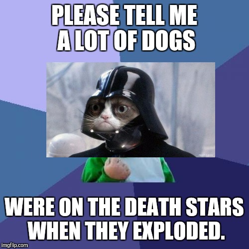 MOVIE WEEK! A SpursFanFromAround and haramisbae event! Grump Vader hopes for a bright side. :D | PLEASE TELL ME A LOT OF DOGS; WERE ON THE DEATH STARS WHEN THEY EXPLODED. | image tagged in memes,success kid,star wars,grumpy cat,movies,hamsters made of fire save the universe | made w/ Imgflip meme maker