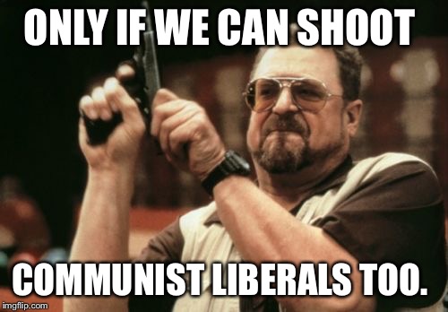 Am I The Only One Around Here Meme | ONLY IF WE CAN SHOOT COMMUNIST LIBERALS TOO. | image tagged in memes,am i the only one around here | made w/ Imgflip meme maker