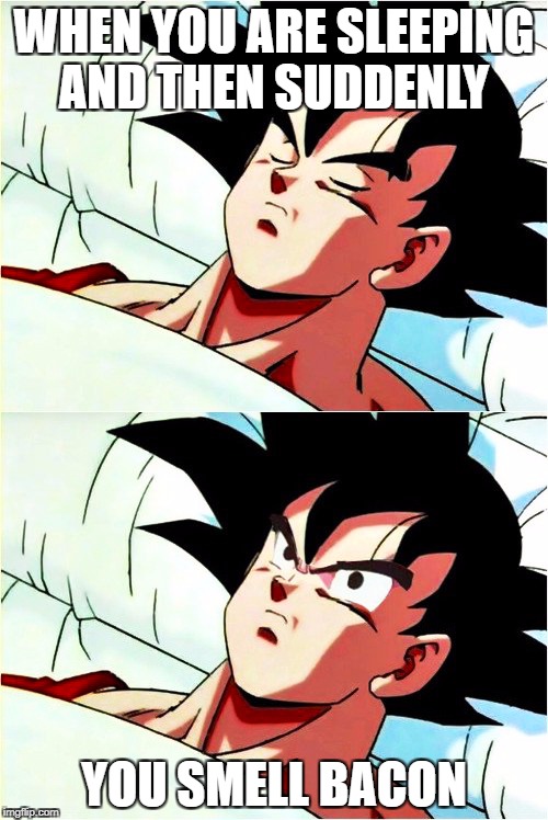 goku sleeping wake up | WHEN YOU ARE SLEEPING AND THEN SUDDENLY; YOU SMELL BACON | image tagged in goku sleeping wake up | made w/ Imgflip meme maker