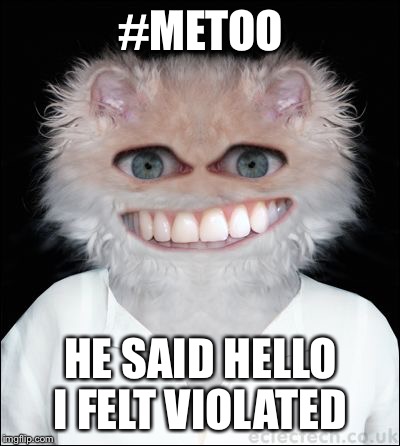 Cat man | #METOO; HE SAID HELLO I FELT VIOLATED | image tagged in cat man | made w/ Imgflip meme maker