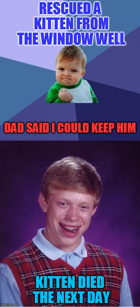 This really happened to my son (8).  We named him Zipper.  I buried him in the back yard and My son carved him a wood marker | RESCUED A KITTEN FROM THE WINDOW WELL; DAD SAID I COULD KEEP HIM; KITTEN DIED THE NEXT DAY | image tagged in meme,bad luck brian,success kid,zipper,kids,cute kittens | made w/ Imgflip meme maker