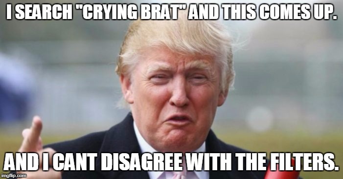 Not joking. I'm serious.  |  I SEARCH "CRYING BRAT" AND THIS COMES UP. AND I CANT DISAGREE WITH THE FILTERS. | image tagged in donald trump,crying little brat,jeez he should not be our president good thing im canadian | made w/ Imgflip meme maker