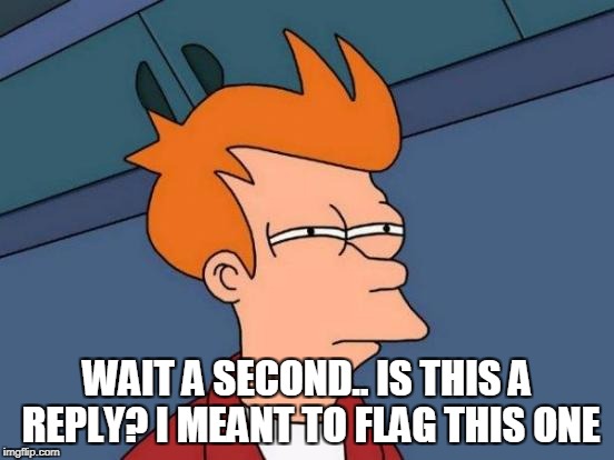 Futurama Fry Meme | WAIT A SECOND.. IS THIS A REPLY? I MEANT TO FLAG THIS ONE | image tagged in memes,futurama fry | made w/ Imgflip meme maker