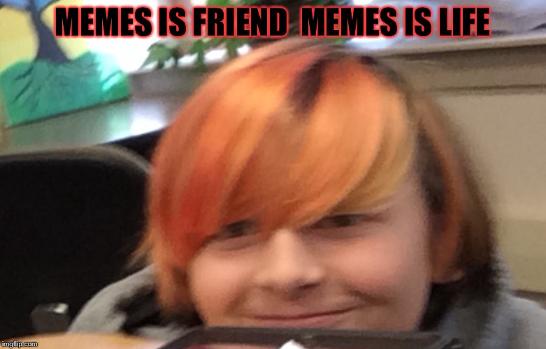 Memes be friend meme is life | MEMES IS FRIEND  MEMES IS LIFE | image tagged in memes be friend meme is life | made w/ Imgflip meme maker