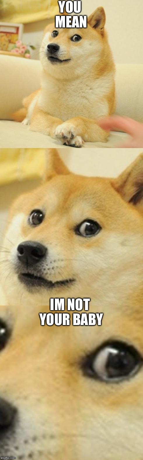 Doge Game |  YOU MEAN; IM NOT YOUR BABY | image tagged in doge game | made w/ Imgflip meme maker