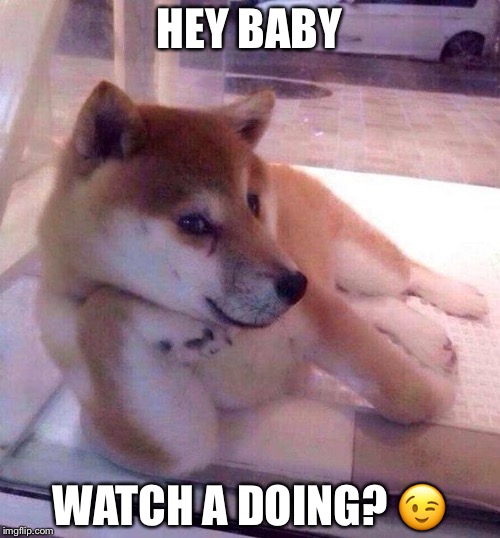 Flirting Doge | HEY BABY; WATCH A DOING? 😉 | image tagged in flirting doge | made w/ Imgflip meme maker