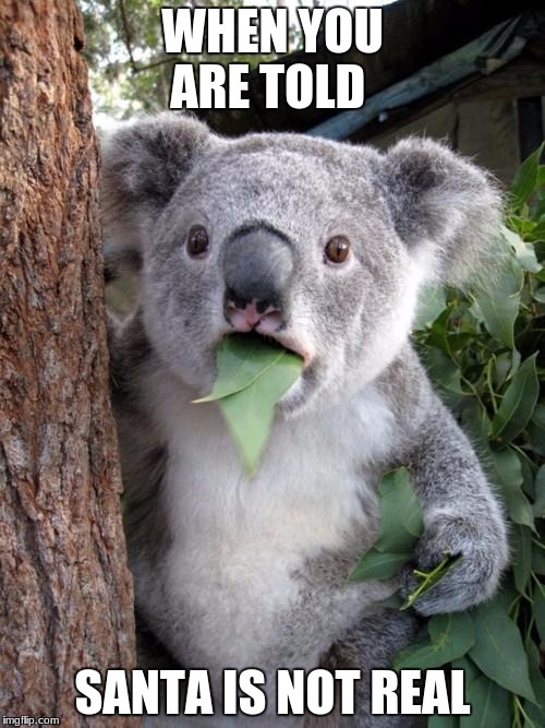 Surprised Koala Meme | WHEN YOU ARE TOLD; SANTA IS NOT REAL | image tagged in memes,surprised koala | made w/ Imgflip meme maker