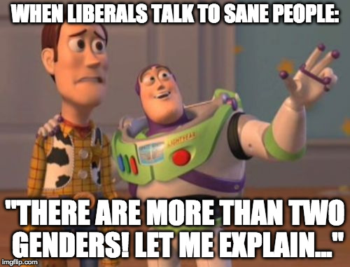 Liberal logic is everywhere except in  reality.  | WHEN LIBERALS TALK TO SANE PEOPLE:; "THERE ARE MORE THAN TWO GENDERS! LET ME EXPLAIN..." | image tagged in memes,x x everywhere,transgender,donald trump,liberal logic | made w/ Imgflip meme maker