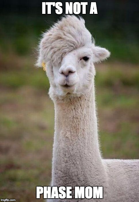 Emo Llama | IT'S NOT A; PHASE MOM | image tagged in emo llama | made w/ Imgflip meme maker