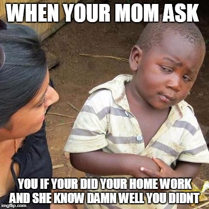 Third World Skeptical Kid Meme | WHEN YOUR MOM ASK; YOU IF YOUR DID YOUR HOME WORK AND SHE KNOW DAMN WELL YOU DIDNT | image tagged in memes,third world skeptical kid | made w/ Imgflip meme maker