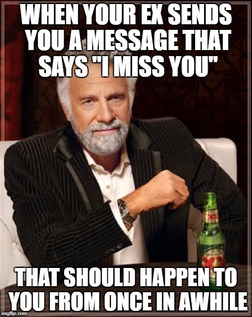 The Most Interesting Man In The World | WHEN YOUR EX SENDS YOU A MESSAGE THAT SAYS "I MISS YOU"; THAT SHOULD HAPPEN TO YOU FROM ONCE IN AWHILE | image tagged in memes,the most interesting man in the world | made w/ Imgflip meme maker