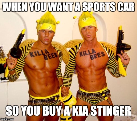 WHEN YOU WANT A SPORTS CAR; SO YOU BUY A KIA STINGER | image tagged in cars,angry guido | made w/ Imgflip meme maker