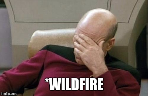 *WILDFIRE | image tagged in memes,captain picard facepalm | made w/ Imgflip meme maker